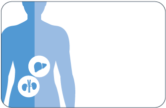 liver function