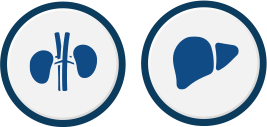 Liver and Kidney icons